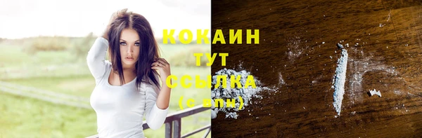 круглые Новодвинск