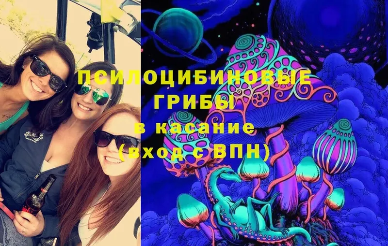 Галлюциногенные грибы Magic Shrooms  mega маркетплейс  Лебедянь  как найти закладки 